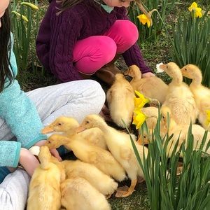 Meet your Posher, Charles